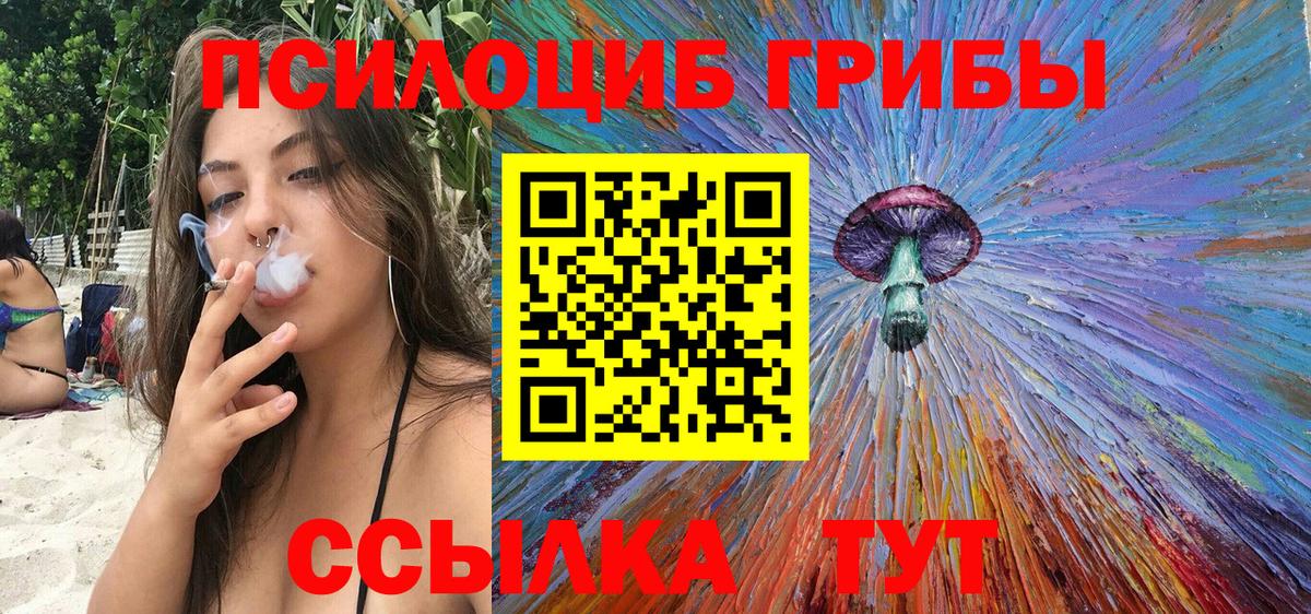 Псилоцибиновые грибы мицелий Майкоп